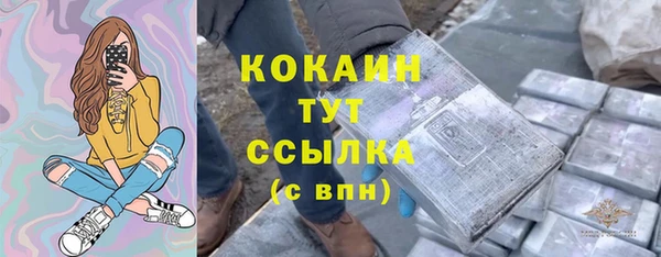 mix Богородицк